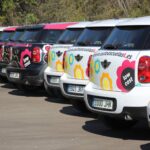 Aprende a conducir en un fin de semana